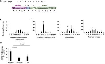 Patients with juvenile idiopathic arthritis have decreased clonal diversity in the CD8+ T cell repertoire response to influenza vaccination